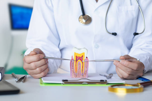 Best After-Hours Emergency Dentist in Robinhood, MS